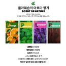 로즈레미 | 25년 로즈레미 수제비누 선물세트 실사용 리뷰글 모음