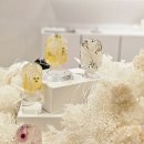 친환경 식물 메이커 | 홈 스타일링 전시회 《2025 홈·테이블데코페어》 후기