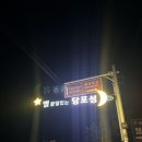 당포성 별보기 새벽 1시에 갔는데 별이 미쳤음🌌 달 없는 날 은하수 제대로 건졌다