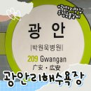신창숯불갈비 | [여행일기]부산 2편 : 임영웅도 다녀간 광안리맛집 우정숯불갈비&amp;광안리해수욕장 산책