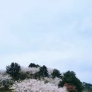 머물다항리 이미지