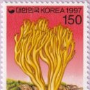 싸리목장 이미지