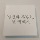 프리쉐이드 이미지