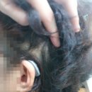 한양보청기 | 평택 스타키보청기에서 어머니 보청기 맞춘 후기