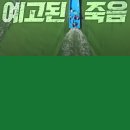 영화수첩 | [올리비아의 &#39;나를 움직인 영화&#39; 029] 예고된 죽음 : PD수첩 4대강 10년의 기록(2023)