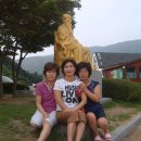 승주체육관 이미지