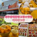 2067 | 제주 애플망고 빙수 맛집, 제주망고당 방문 후기