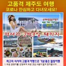 정왕여행사