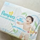 글로벌키탑 | 여름기저귀 추천 팸퍼스터치오브네이처썸머팬티 20개월 아기 실사용 후기