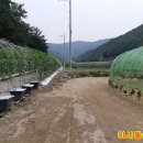 단국대학교 정책경영대학원 이미지