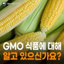 대해식품