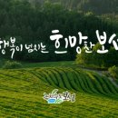 매시랍게(보성시니어클럽) | 보성사랑상품권 가맹점 (벌교읍)