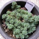 별솔농장 이미지