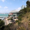 동백섬 티스토리