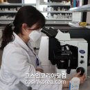 (주)엘앤피