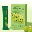뉴트리업