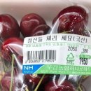 [2025.01-2025.02] 체리걸