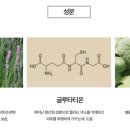 인셀덤데일리