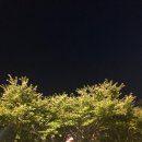 진로정육 - 성북구 길음로7길 36-12 | 진로정육