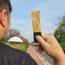 아리항 이미지
