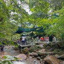 메아리식당 | 부산 계곡 식당 , 만덕 메아리산장 계곡 낀 오리고기 맛집