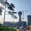 동해 묵호항 수산시장 회포장 현지인 추천 맛집 사라수산 가격