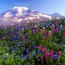 두산민박 이미지