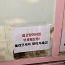 히히냥냥 이미지