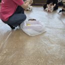 롯데마트 송파점 | 롯데마트 문화센터 송파점, 오감 점프베베 후기 | 5-7개월 아기와 촉감놀이 체험 후기, 주차정보, 신청방법