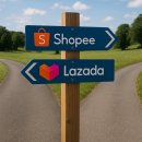 주식회사 피드백루프 | [파인드어마켓] Shopee &amp; Lazada에서 잘 팔리는 상품은? (싱가포르 · 대만 · 말레이시아 실전 가이드...