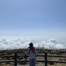 한라산게스트하우스 이미지