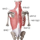 검암역 | 부족한 이유 (feat. 썸필라테스 체형 분석) / 검암 필라테스 / 검암동 필라테스 / 검암역 필라테스