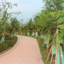 예산군장애인종합복지관 이미지