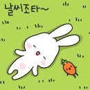 씨엔(CIEN)