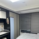 STEY 이미지