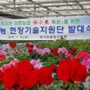하일컨설팅