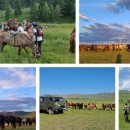 홀스앤브러쉬 이미지