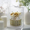 가행나무 이미지