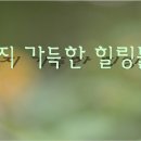 (힐음)Secret Garden - Song From A Secret Garden 이미지