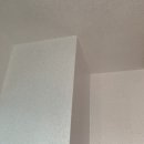 신성바이오 이미지