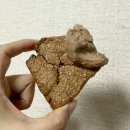 베노프 후기: 둥둥케이크,오트스콘,소프트바,핑거팝