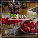 카페인cafein 이미지