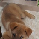 형제공인중개사사무소 이미지