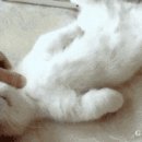 마포당구장 이미지