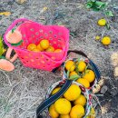 제주포인트투어 | 제주 가족여행 버스투어 45인승 제주숨비투어 승마체험 후기