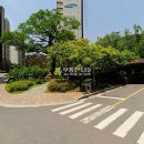 중앙동151 이미지