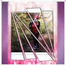 강릉 노추산 힐링캠프 이미지