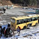 시간이 멈춘 듯한 겨울 왕국, 인제 자작나무 숲으로 이미지