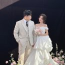 플라워뮤지 | [부겐빌리아]서울 가성비 플라워디렉팅 : 라이크유플라워
