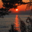 동백섬의 일출 이미지